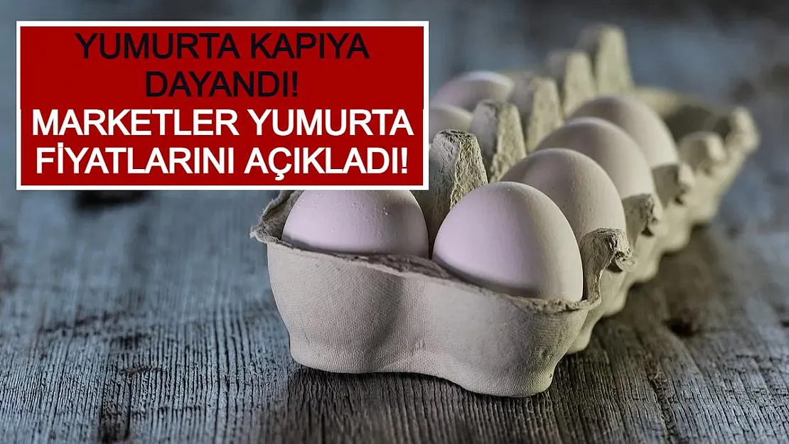 Yumurta Kapıya Dayandı! Marketler Yumurta Fiyatlarını Açıkladı!