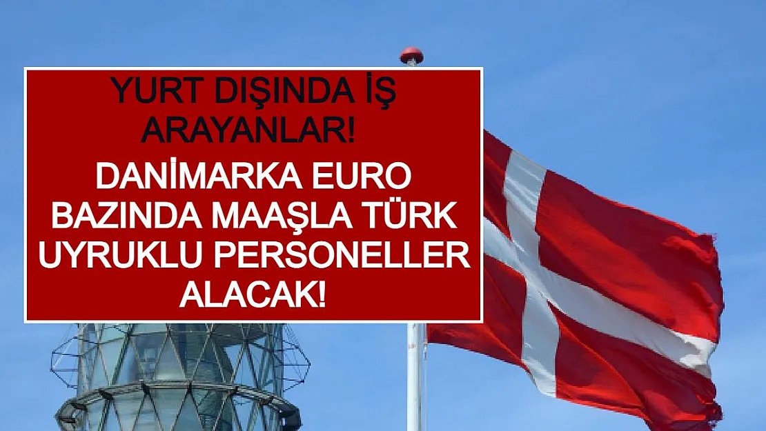 Yurt Dışında İş Arayanlar! Danimarka Euro Bazında Maaşla Türk Uyruklu Personeller Alacak!