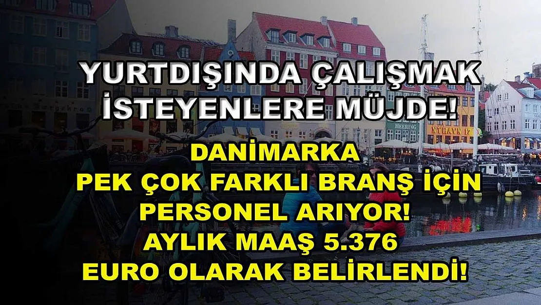 Yurtdışında Çalışmak İsteyenlere Müjde! Danimarka Pek Çok Farklı Branş İçin Personel Arıyor! Aylık Maaş 5.376 Euro Olarak Belirlendi!