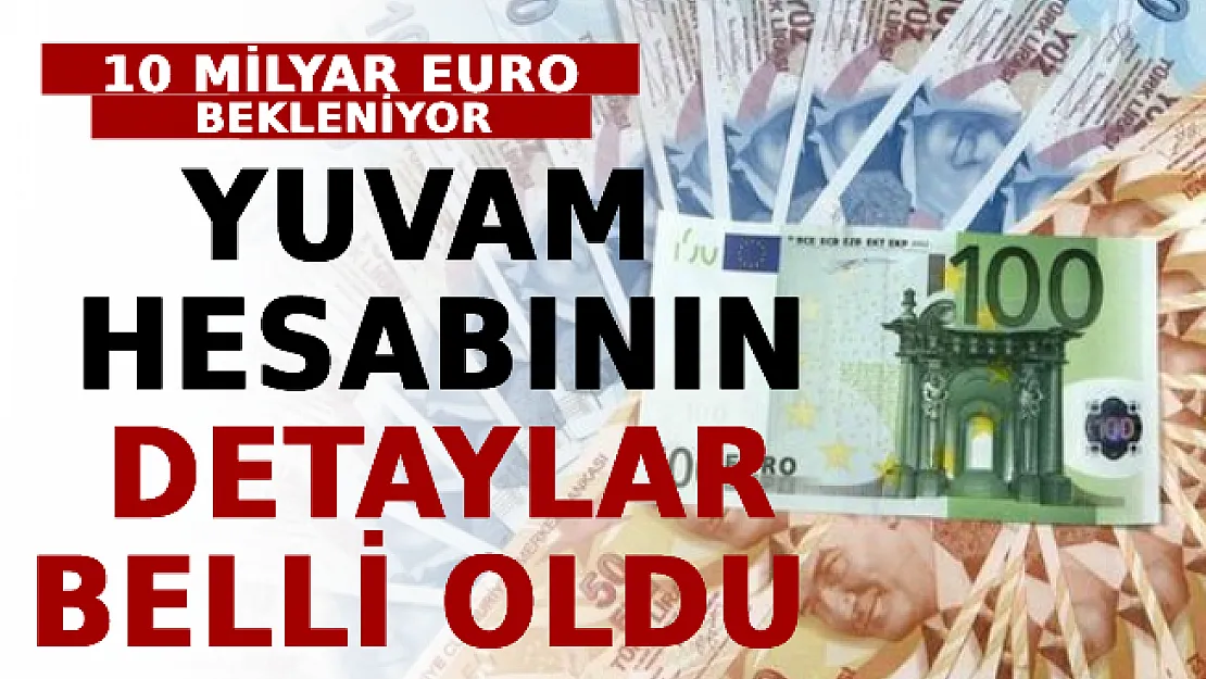Yuvam Hesabının Detaylar Belli Oldu! 10 Milyar Euro Bekleniyor