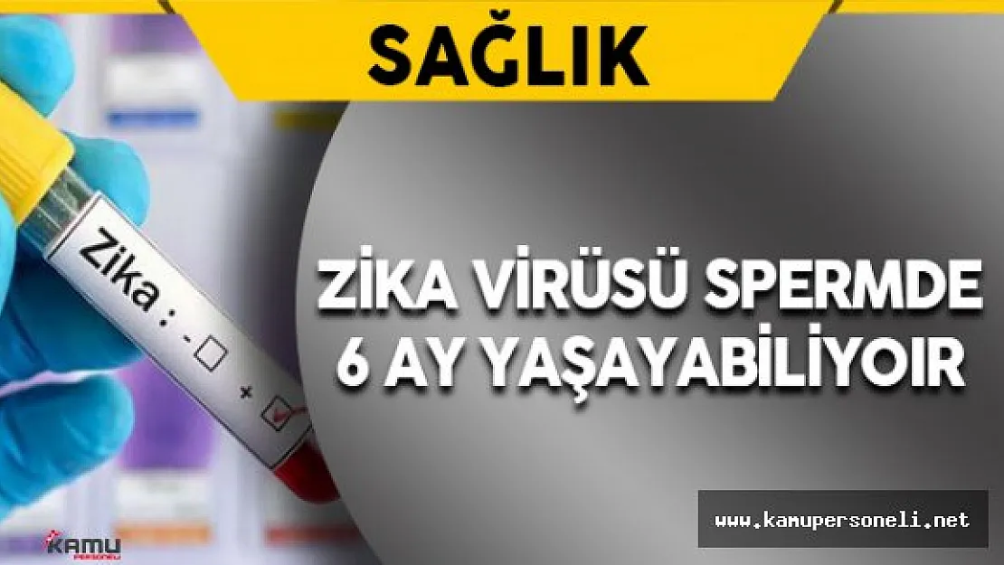 Zika Virüsü Spermde 6 Ay Yaşayabiliyor