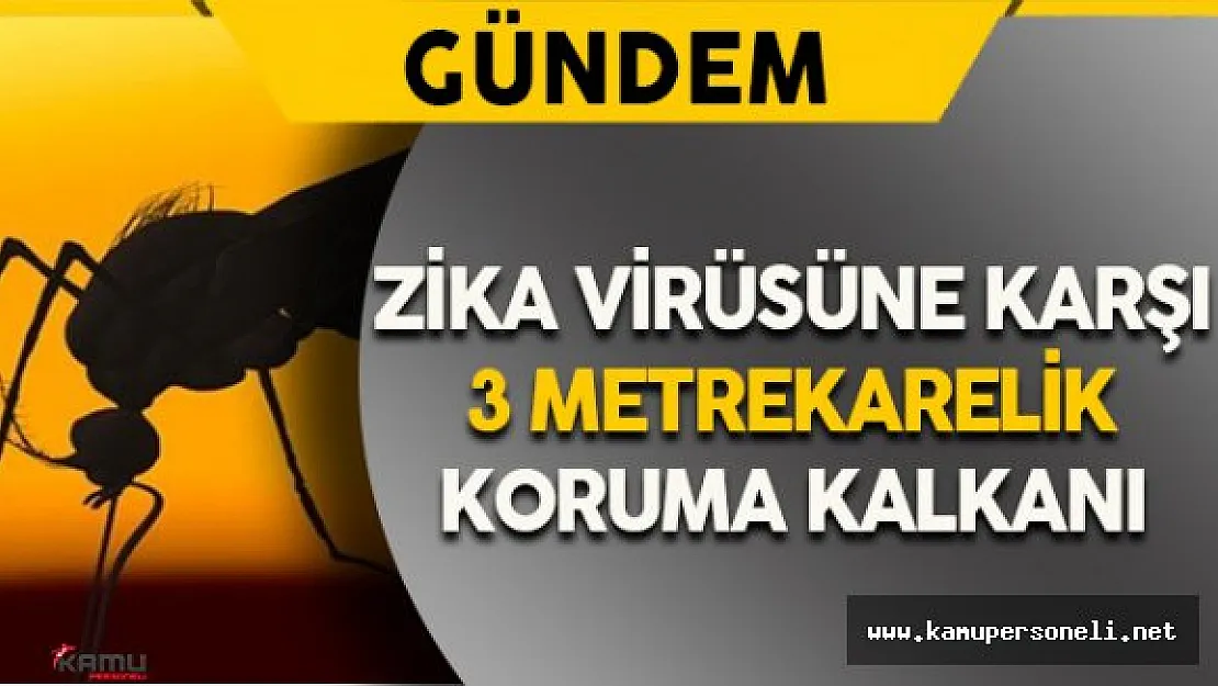 Zika Virüsüne Karşı 3 Metrekarelik Kalkan