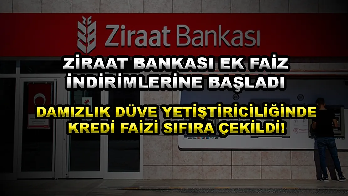 Ziraat Bankası ek faiz indirimlerine başladı, Damızlık Düve Yetiştiriciliğinde kredi faizi sıfıra çekildi!