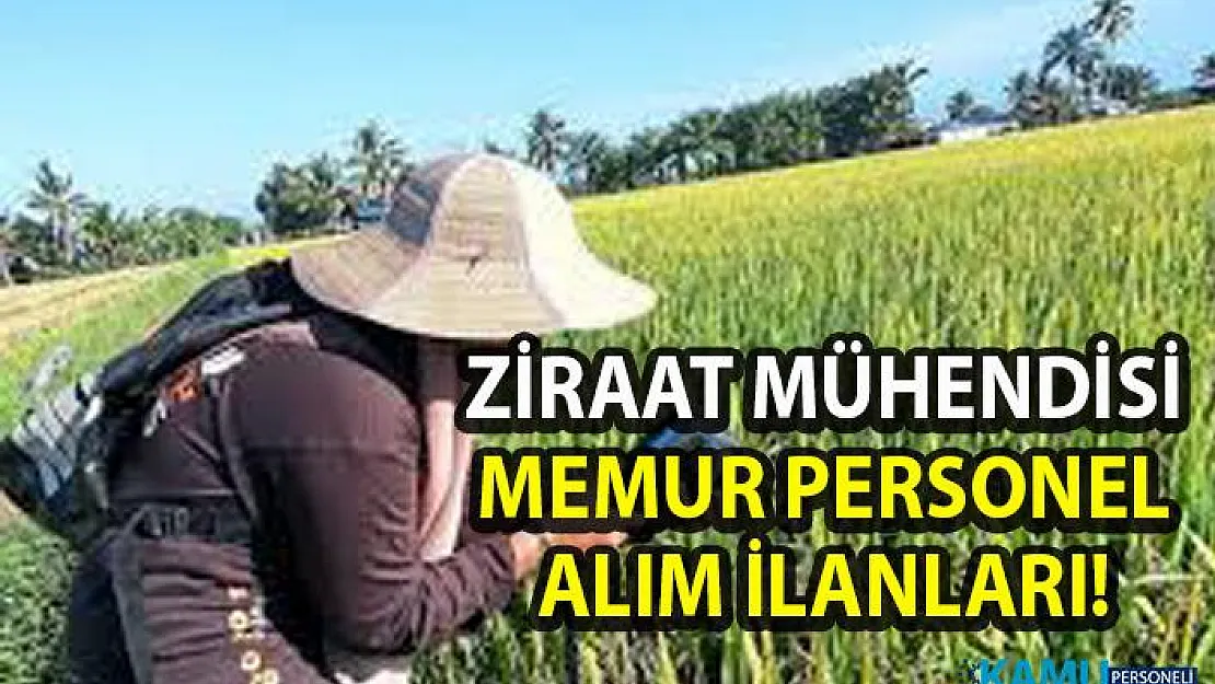 Ziraat mühendisi personel alımı! İŞKUR'dan güncel memur alımı iş ilanları!