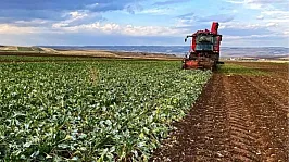 Gençler Toprağa Dönüyor: Köye Dönüş Projesiyle Bedelsiz Arazi ve Faizsiz Kredi Desteği!