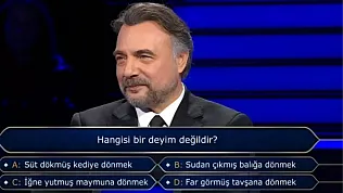 Hangisi bir deyim değildir? Süt dökmüş kediye dönmek, İğne yutmuş maymuna dönmek, Sudan çıkmış balığa dönmek, Far görmüş tavşana dönmek