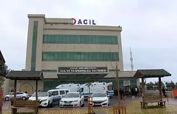 Diyarbakır'da kan donduran cinayet: Cezaevinden çıktı, eşini boğup araziye gömdü