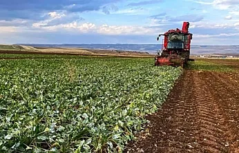 Gençler Toprağa Dönüyor: Köye Dönüş Projesiyle Bedelsiz Arazi ve Faizsiz Kredi Desteği!
