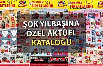 Şok Market Yılbaşı Kataloğu Ile Evleri Aydınlattı: Dekoratif Led'ler, Kokina Çiçeği, Oyuncaklar Ucuzluk Kasırgası Yarattı!