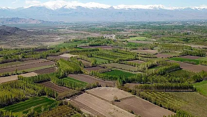 Eylülde Başlıyor: Ekilmeyen Tarım Arazileri Devlet Tarafından Kiraya Verilecek