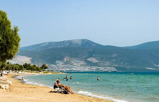 Ege'de Sakinlik Arayanlara Müjde! Akbük Plajı, Zeytin Ağaçları Arasından Beyaz Kumlara Açılıyor