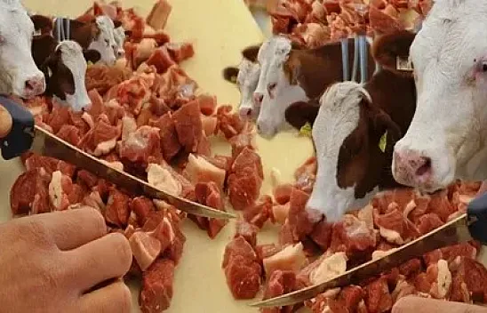 Uzmanlar uyardı: Kurban eti hemen tüketilmemeli