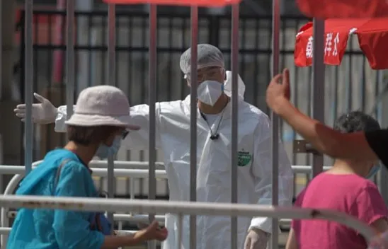 Yeni Ölümcül Salgın: Uzmandan Kedi Gribi Uyarısı!