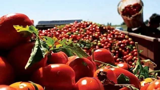 Güneşin gücüyle büyüyen lezzetler! Haziran ayında ekilecek en verimli ürünler
