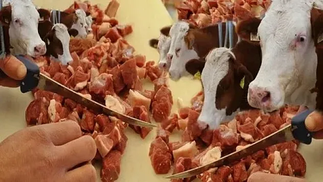 Uzmanlar uyardı: Kurban eti hemen tüketilmemeli