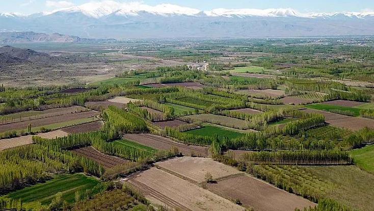 Eylülde Başlıyor: Ekilmeyen Tarım Arazileri Devlet Tarafından Kiraya Verilecek