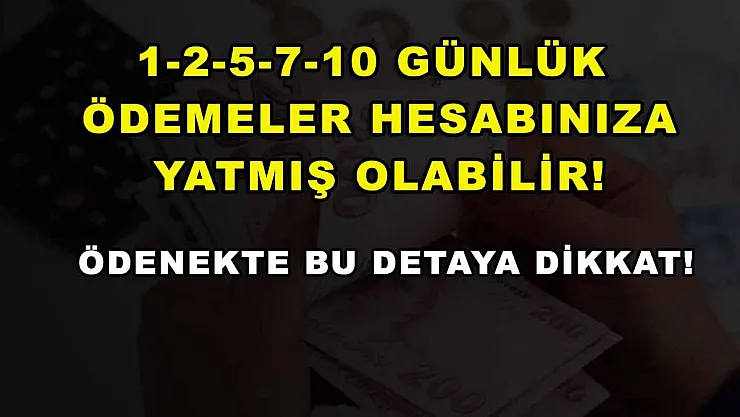 1-2-5-7-10 günlük ödemeler hesabınıza yatmış olabilir! Ödenekte bu detaya dikkat!