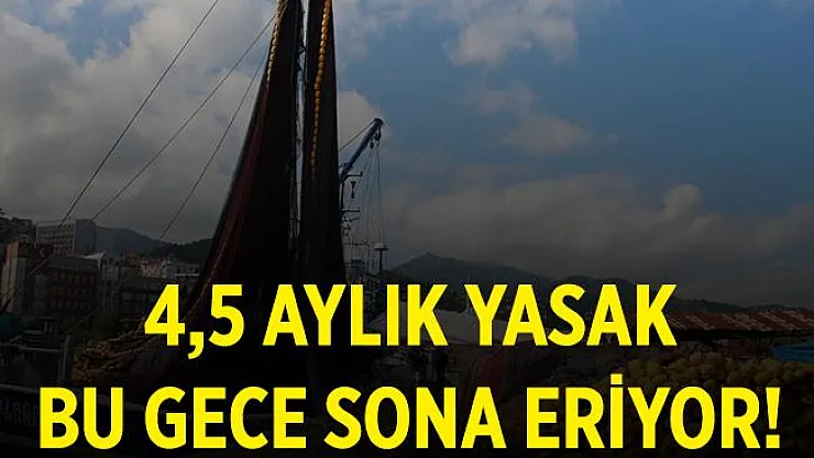 1 Eylül itibariyle av yasağı bitiyor!