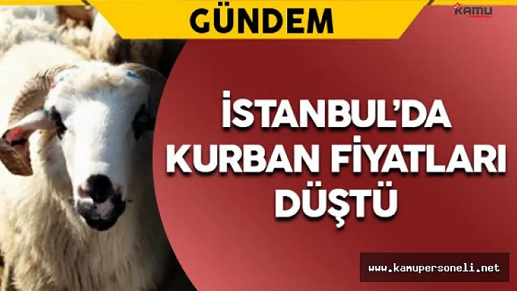 10 Bin Liralık Kurbana, 3 Bin Lira Dediler