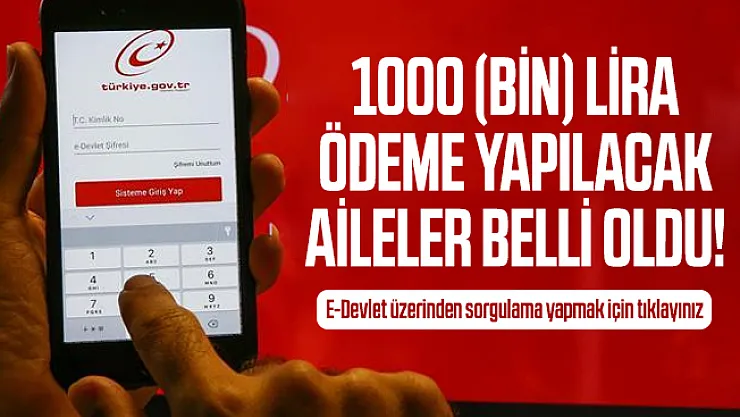 1000 (bin) lira ödeme yapılacak aileler belli oldu! E-Devlet üzerinden sorgulama yapmak için tıklayınız