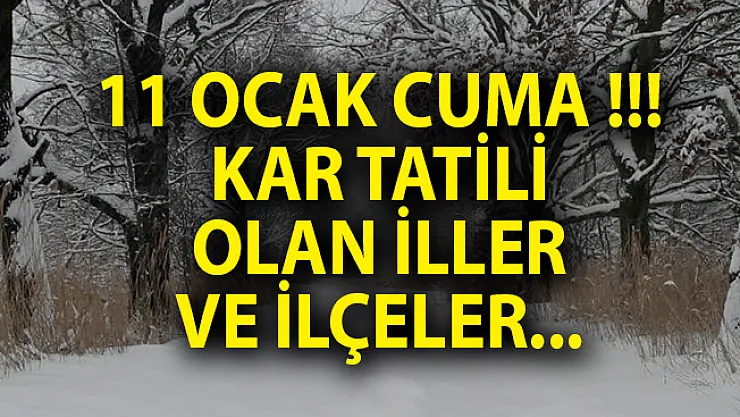 11 Ocak 2019 Cuma Günü Tatil Olan Okullar! Kar Tatili Olan İl Ve İlçeler Listesi