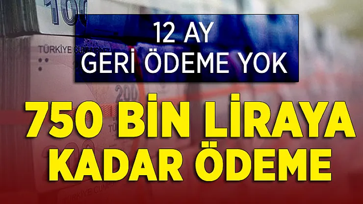 12 Ay Geri Ödemesiz Kampanya Devam Ediyor ! 750 Bin Liraya Kadar Para Veriliyor