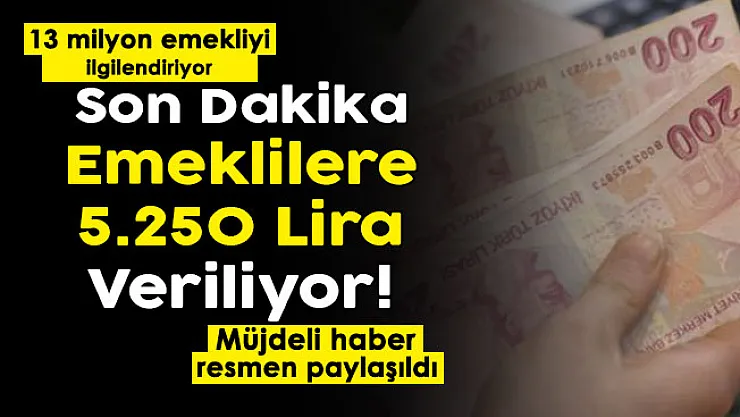 13 milyon emekliyi ilgilendiren güzel haber geldi: Tüm emeklilere 5 bin 250 lira veriliyor