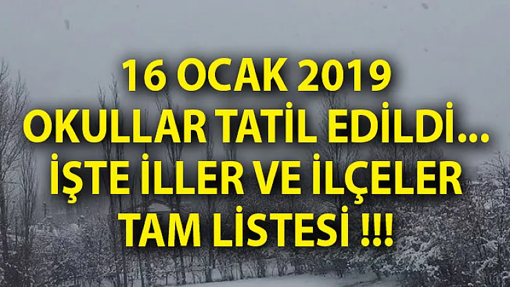 16 Ocak 2019 Çarşamba Okulların Tatil Olduğu İller! Hangi İllerde Okullar Tatil Edildi?