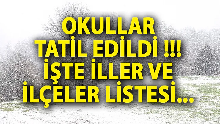 17 Ocak 2019 Perşembe Günü Tatil Olan Okullar! Kar Tatili Olan İl Ve İlçeler Listesi