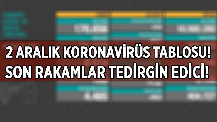 2 Aralık koronavirüs tablosu belli oluyor! Türkiye'de bugün kaç yeni vaka tespit edildi, kaç kişi hayatını kaybetti?