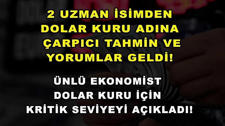 2 uzman isimden dolar kuru adına çarpıcı tahmin ve yorumlar geldi! Ünlü ekonomist dolar kuru için kritik seviyeyi açıkladı!