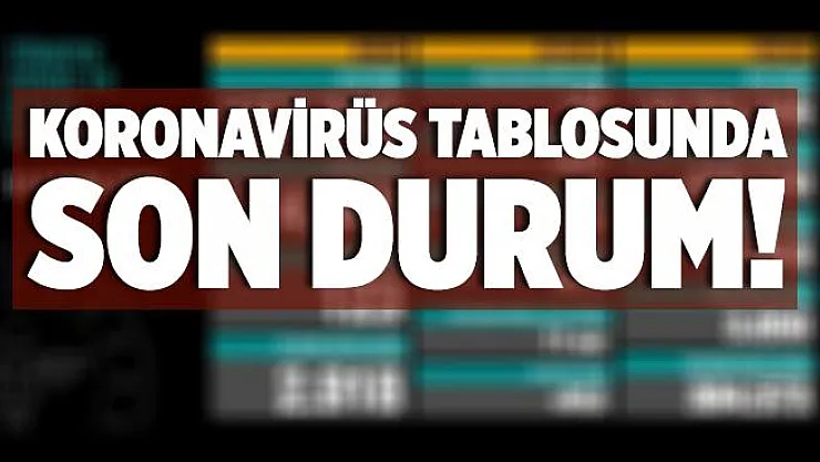 20 Kasım koronavirüs tablosu son durum! Türkiye'de koronavirüs vaka ve vefat sayısı kaç oldu? İl İl koronavirüs verileri..
