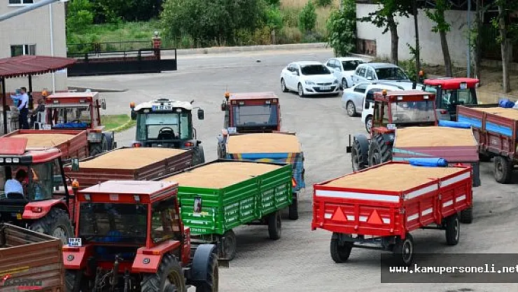 2016 Hububat Üreticisinin Altın Yılı Olacak