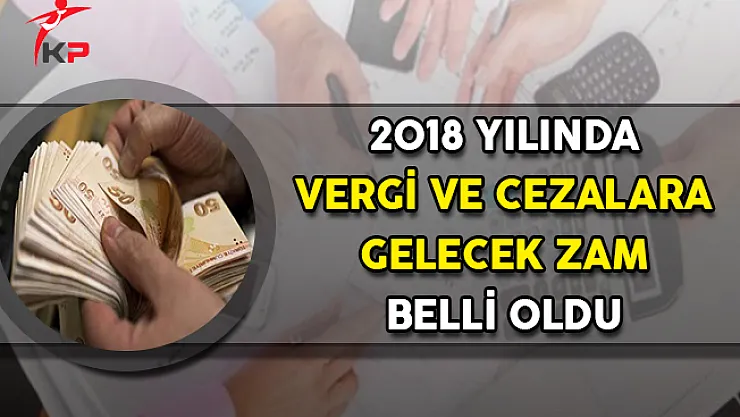2018 Yılında Vergi ve Cezalara Gelecek Zam Belli Oldu