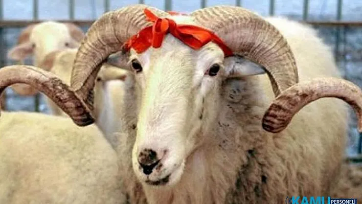 2019 Kurban Bayramı Ne Zaman, Kaç Gün Tatil Olacak? Kurban Bayramı Tarihi