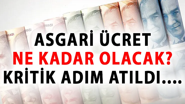 2019 Yılında Asgari Ücret Ne Kadar Olacak? Asgari Ücret Hakkında Kritik Adım Atıldı