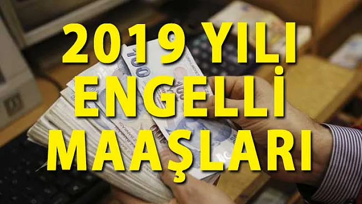 2019 Yılında Engelli Aylıkları Ne Kadar Olacak? 2019 engelli maaşı zammı