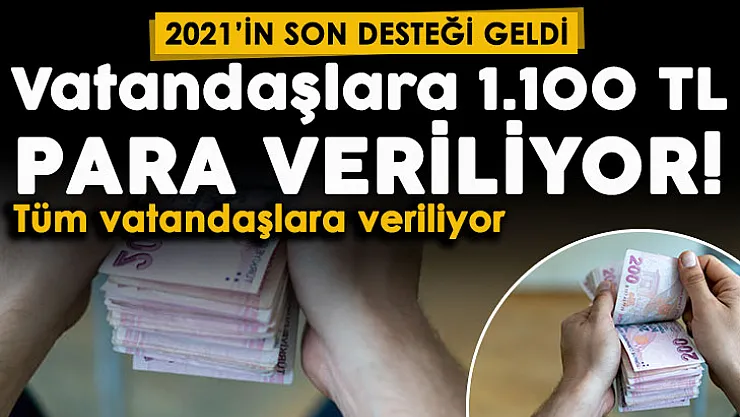 2021'in son desteği duyuruldu! e-Devletten başvuran tüm vatandaşlara 1.100 TL para veriliyor