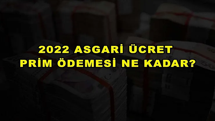 2022 Asgari Ücret Prim Ödemesi Ne Kadar?
