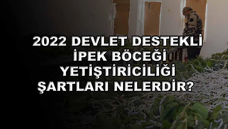 2022 Devlet Destekli İpek Böceği Yetiştiriciliği Şartları Nelerdir?