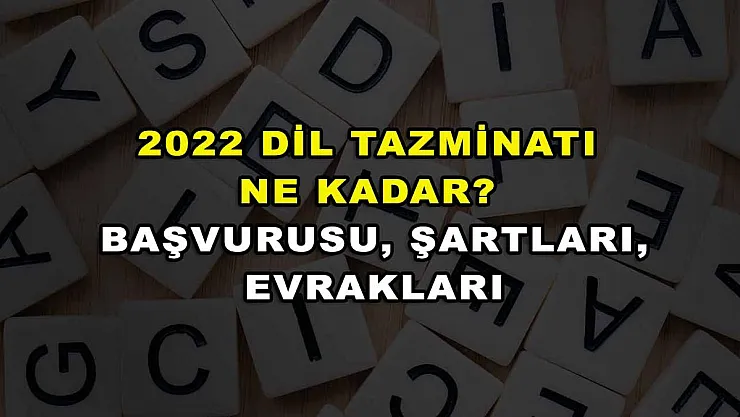 2022 Dil Tazminatı Ne Kadar? Başvurusu, Şartları, Evrakları