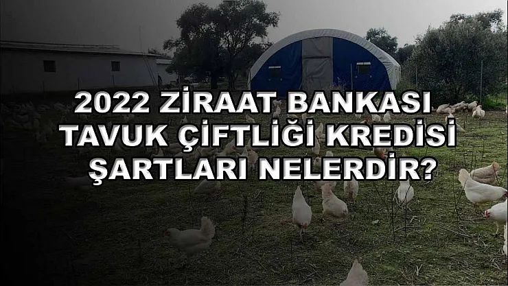 2022 Ziraat Bankası Tavuk Çiftliği Kredisi Şartları Nelerdir?