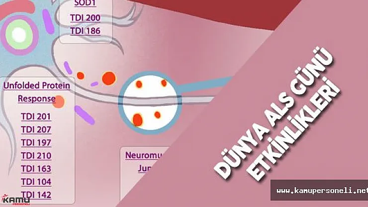21 Haziran Dünya ALS Günü Etkinliği