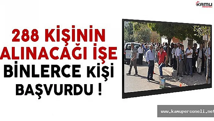 288 Kişinin İşe Alınacağı İşe Binlerce Kişi Başvurdu