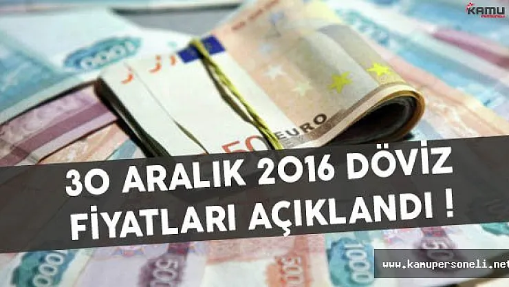 30 Aralık 2016 Döviz Rakamları Açıklandı