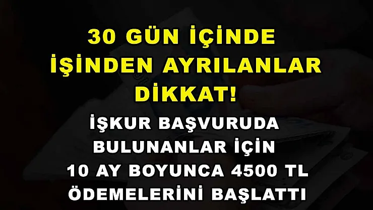 30 gün içinde işinden ayrılanlar dikkat! İŞKUR başvuruda bulunanlar için 10 ay boyunca 4500 TL ödemelerini başlattı