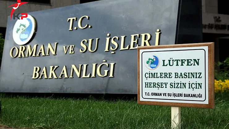 3713 Sayılı Kanun ile Orman Bakanlığına Atananlardan İstenen Belgeler Açıklandı