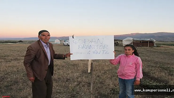 4 Bin Lira Maaş Veriyorlar Eleman Bulamıyorlar