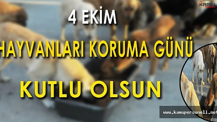 4 Ekim Hayvanları Koruma ve Farkındalık Günü