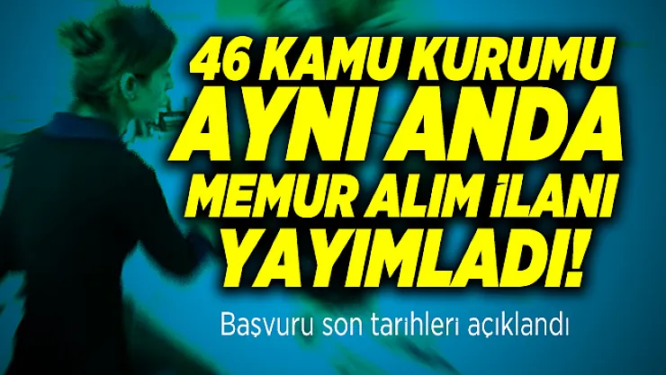 46 Kamu kurumu aynı anda memur alım ilanı yayımladı! Başvuru son tarihleri açıklandı